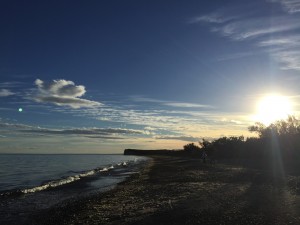 schöner Strand, links außerhalb des Bildes ein Wal