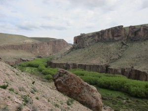 Cañodon de Río Pinturas