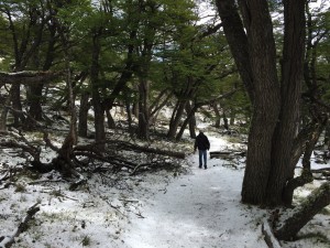 Naturwaldschneewanderung