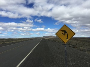 Viento, muuucho viento - ein Straßenschild nur für Patagonien