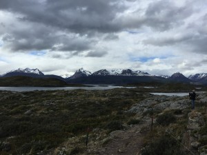 Kurzer Inselspaziergang im Beagle Channel