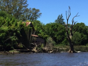 Rundfahrt im Tigre / Paraná Delta