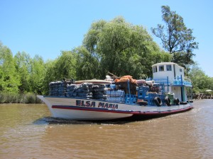 Rundfahrt im Tigre / Paraná Delta