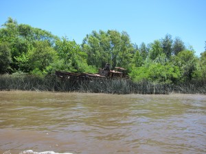 Rundfahrt im Tigre / Paraná Delta