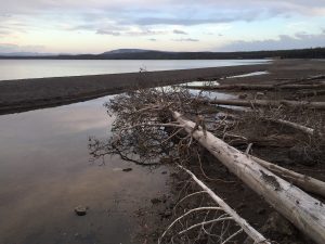 ... und der Yellowstone Lake um's Eck.