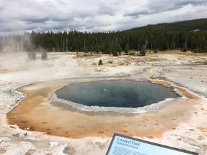 Crested Pool