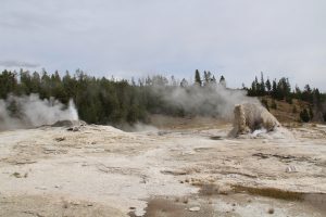 Giant Geyser