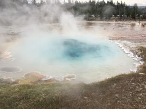 Im Lower Geyser Basin