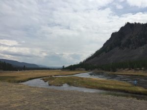 Madinson Valley mit Madison River