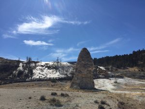 Liberty Cap