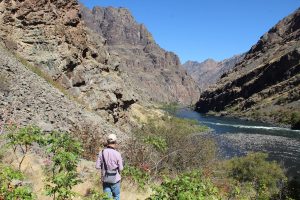 Hike am Snake River im Hells Canyoun