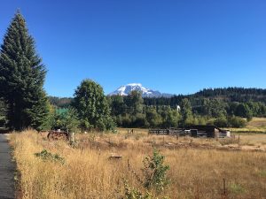 Bergblick beim Jogging