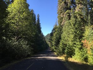 Durch den Gifford Pinchot National Forest