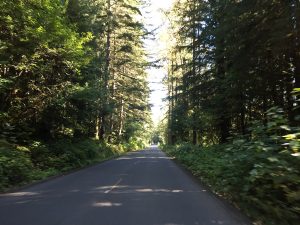 Durch romantische Waldstraßen mit Kopfsteinpflaster-ähnlichem Belag
