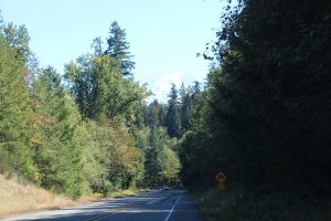 mit Blick auf den Mount Rainier