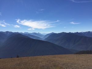 Die Berge des Olympic NP vom Hurricane Ridge