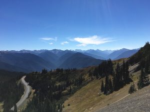 Die Berge des Olympic NP vom Hurricane Ridge