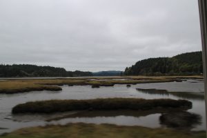 Willapa National Wildlife Refuge