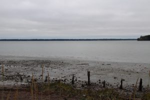 Willapa National Wildlife Refuge