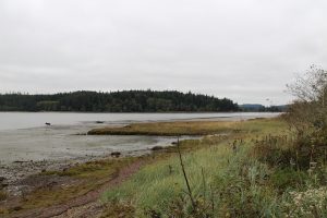 Willapa National Wildlife Refuge