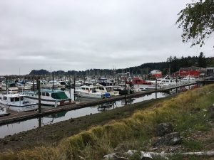 Port of Ilwaco