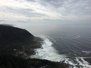 Am Cape Perpetua