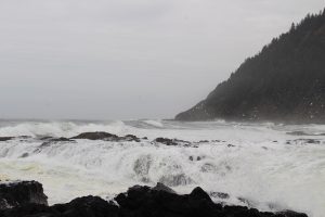 Wellengang an der Oregon Coast