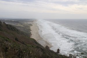 Oregon Dunes