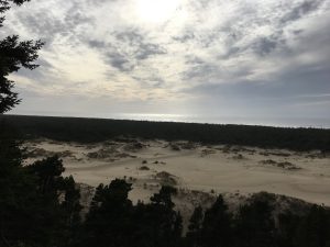 Oregon Dunes