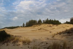 Oregon Dunes