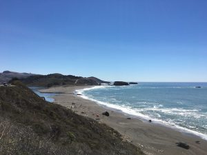 Goat Rock Beach