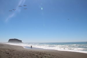 Goat Rock Beach