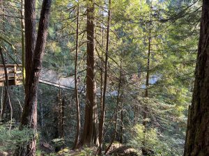 Lynn Canyon Suspension Bridge