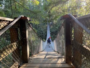 Lynn Canyon Suspension Bridge