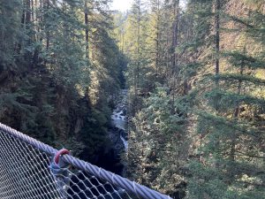 Lynn Canyon Suspension Bridge