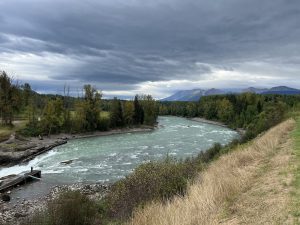 Bulkley River