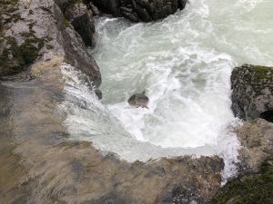 Lachse im Witset Canyon