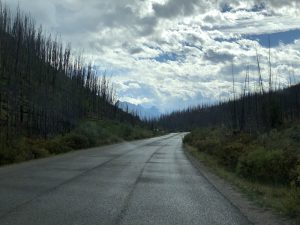 auf dem Weg zum Maligne Lake