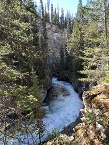 Maligne Canyon