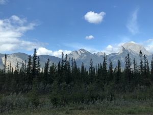 auf dem Weg von Hinton nach Jasper