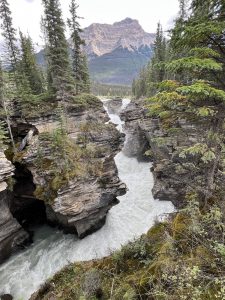 Athabasca Falls