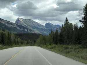 am Icefields Parkway