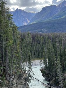 Sunwapta Falls