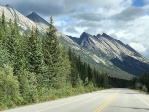 am Icefields Parkway