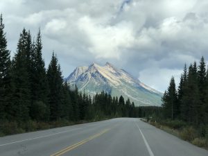 am Icefields Parkway