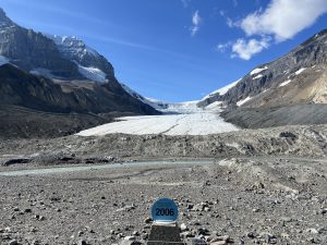 Athabasca Glacier Forefield Trail