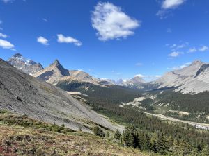 auf dem Parker Ridge Trail