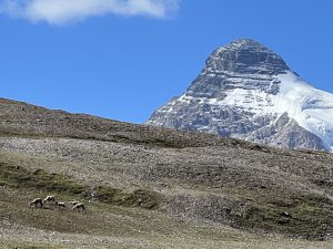 auf dem Parker Ridge Trail