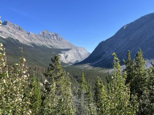 Blick von der Big Bend ins Tal des North Saskatchewan River