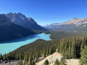 Peyto Lake (für Instagram)